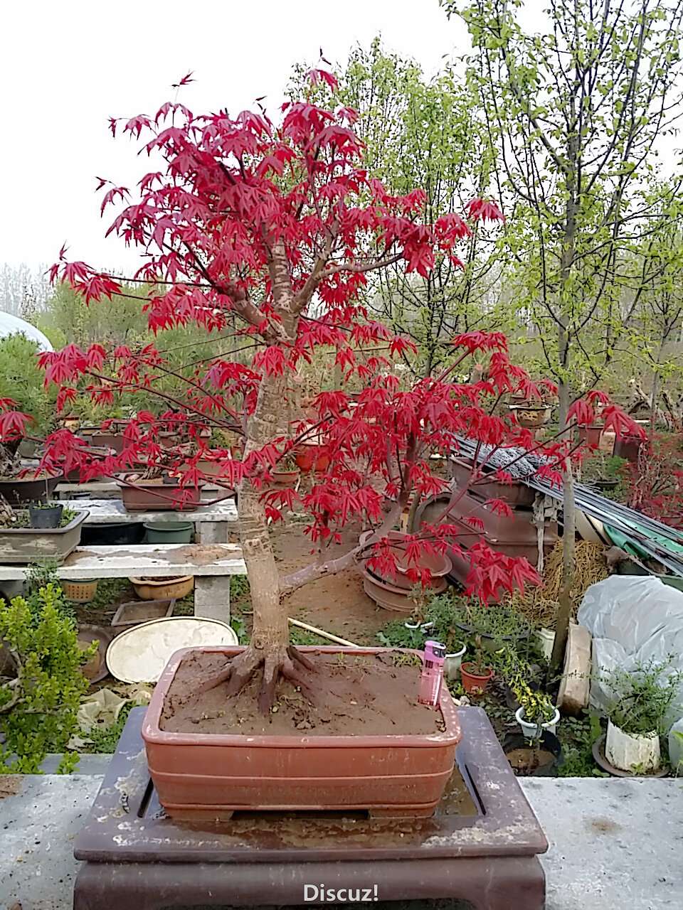 C360_2015-04-12-17-40-06-427.jpg