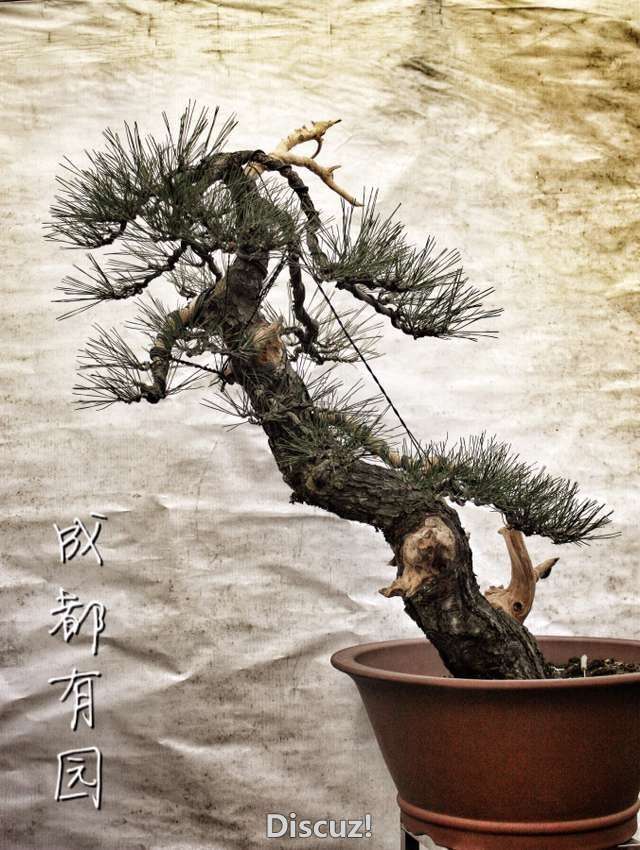 QQͼƬ20160116212636.jpg