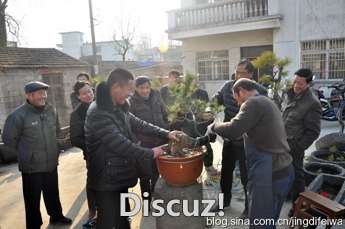 001Ss5EVgy6YC60hL7Ld5&amp;690.jpg