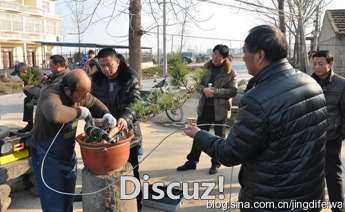 001Ss5EVgy6YC60mRq131&amp;690.jpg