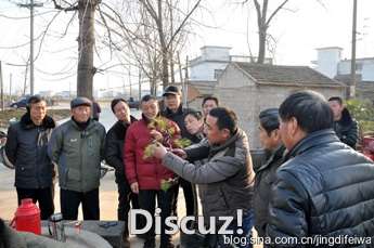 001Ss5EVgy6YC61CiE098&amp;690.jpg