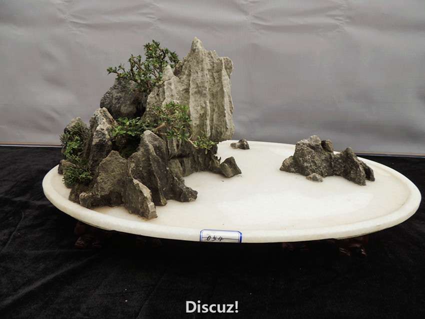 DSCN6891_.jpg