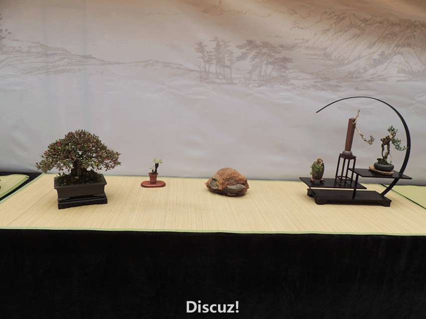 DSCN6900_.jpg