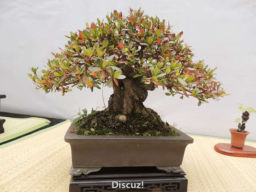 DSCN6901_.jpg