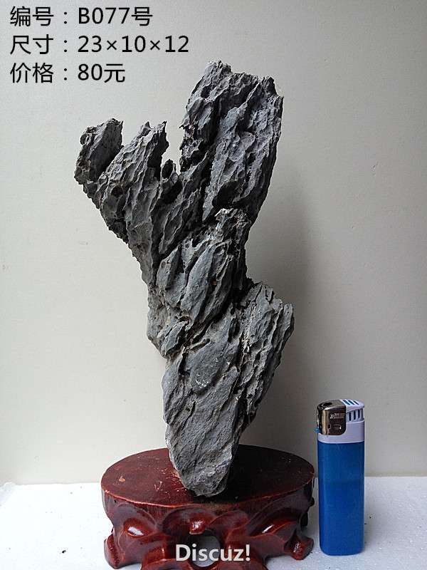 b077.jpg