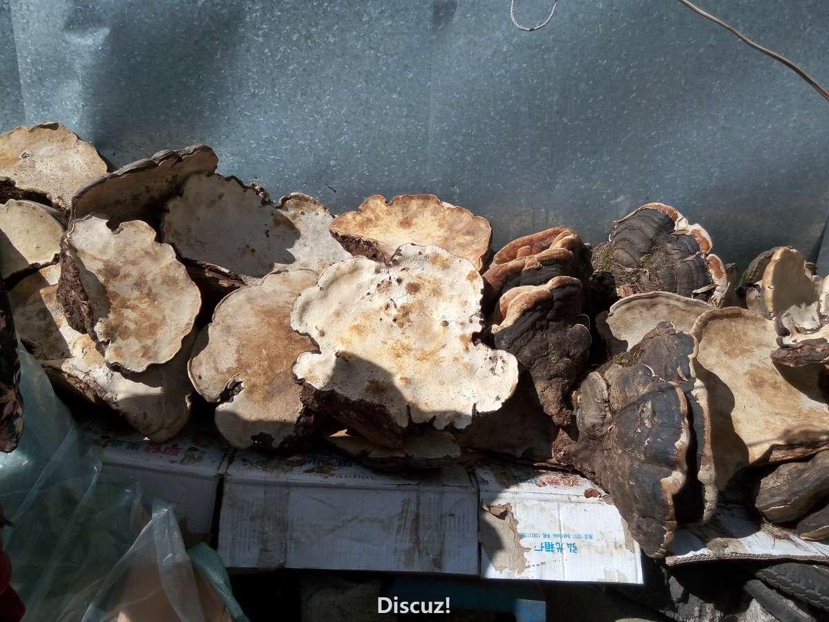 P60112-135251_С -  - .jpg