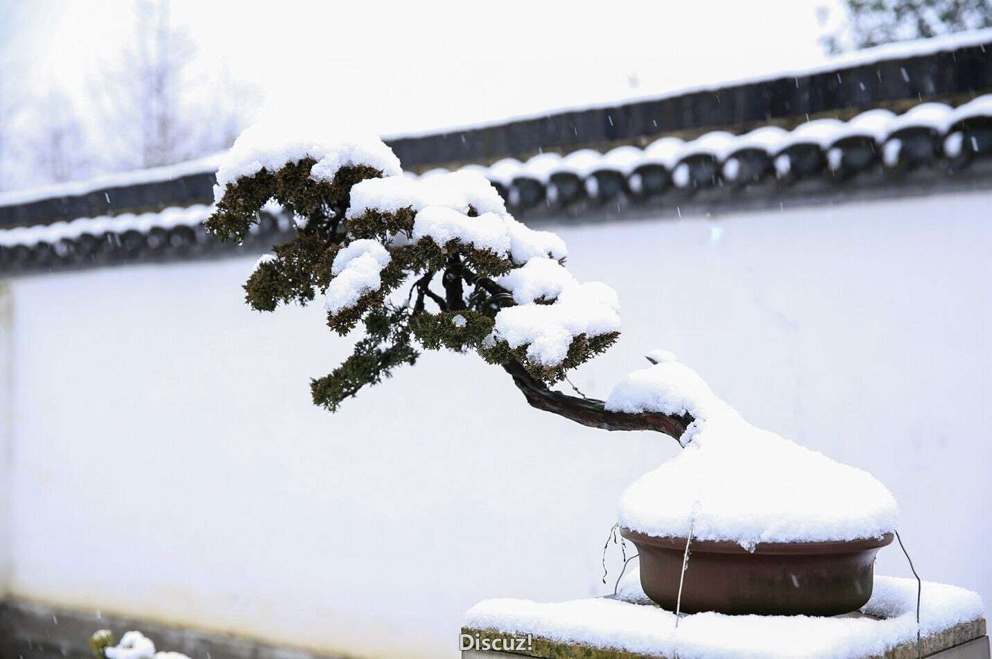QQͼƬ20160122193517.jpg