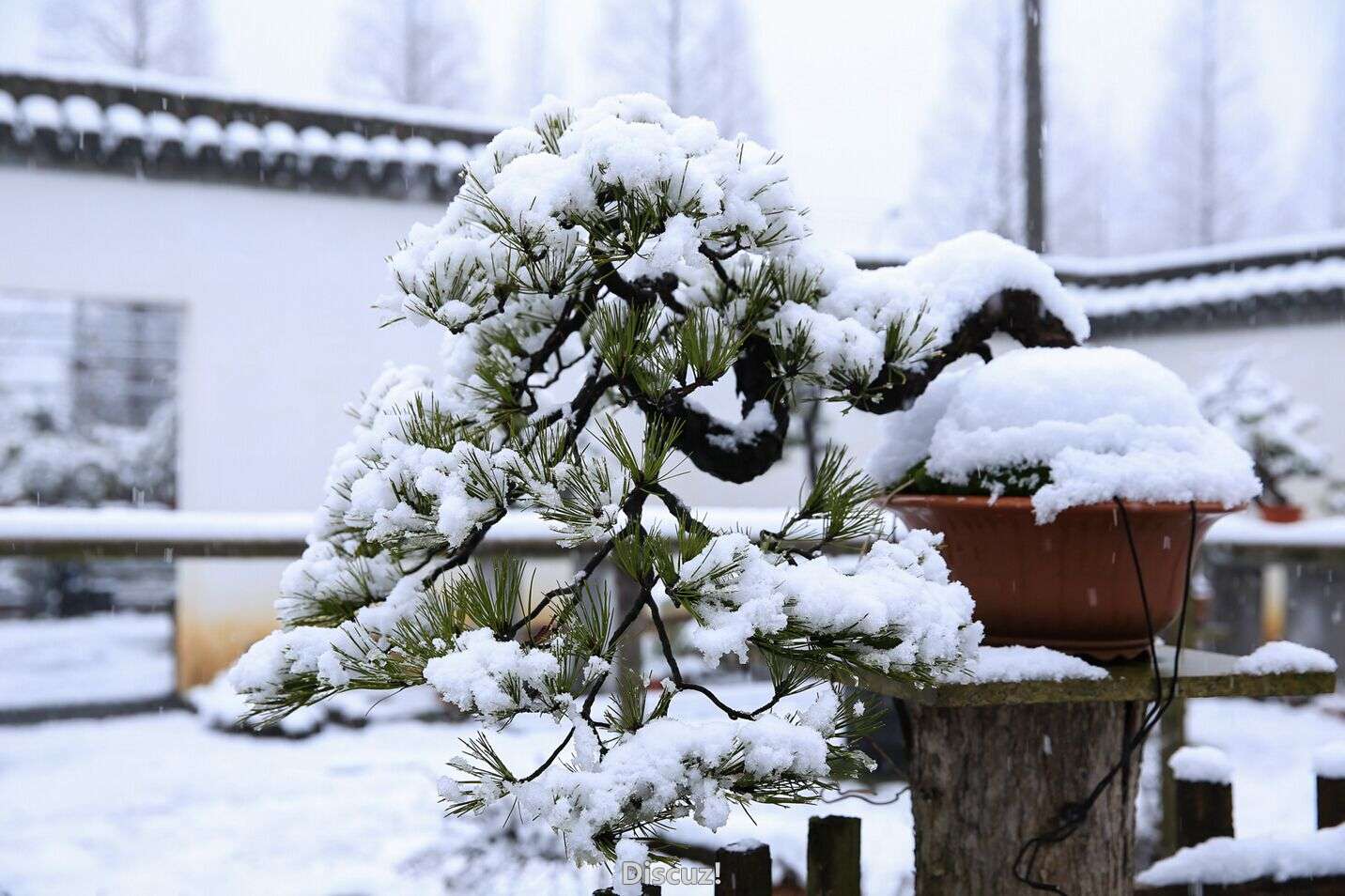 QQͼƬ20160122193655.jpg