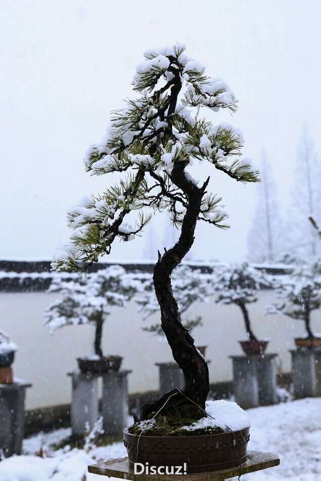 QQͼƬ20160122193743.jpg