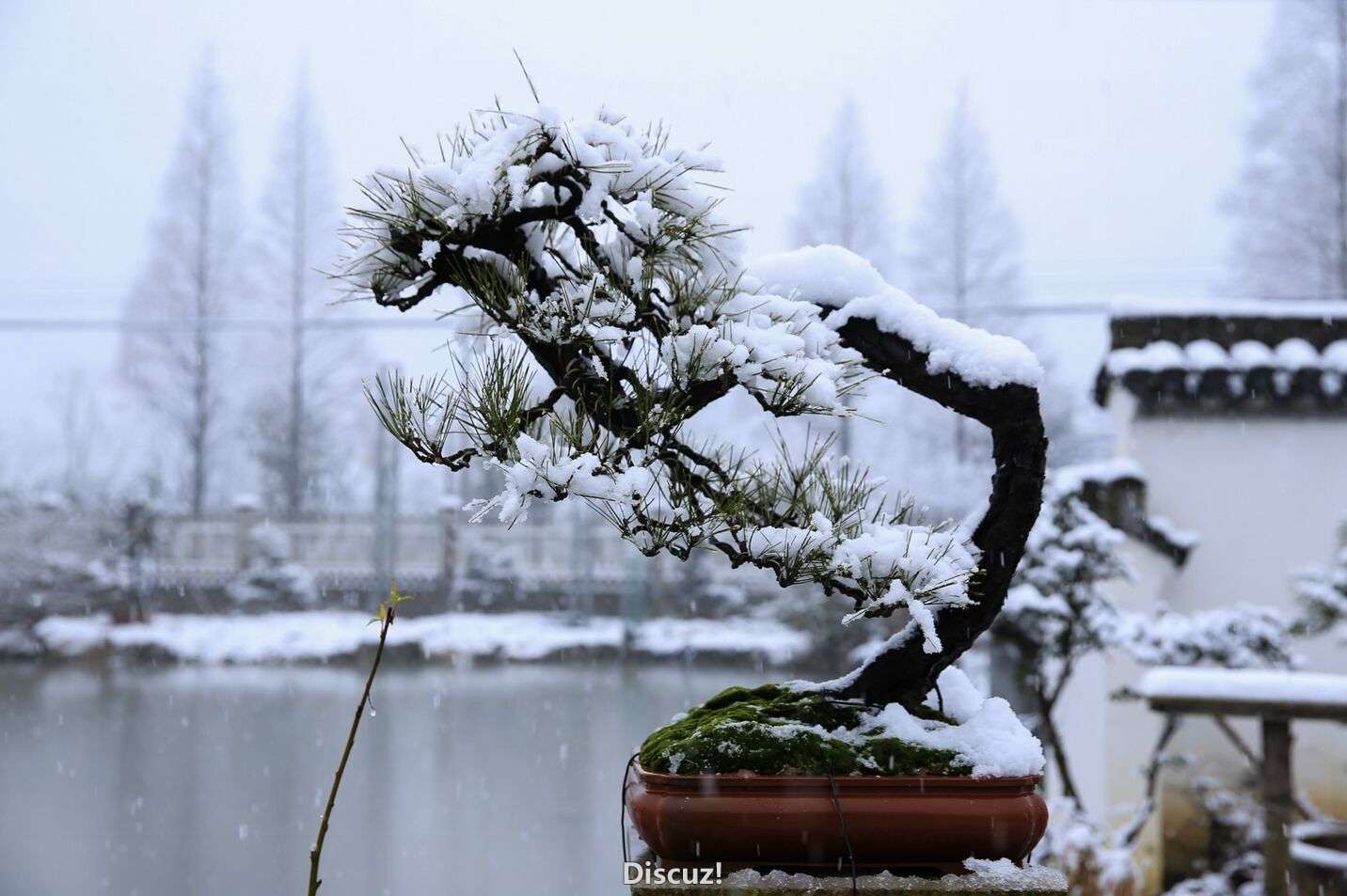QQͼƬ20160122194145.jpg