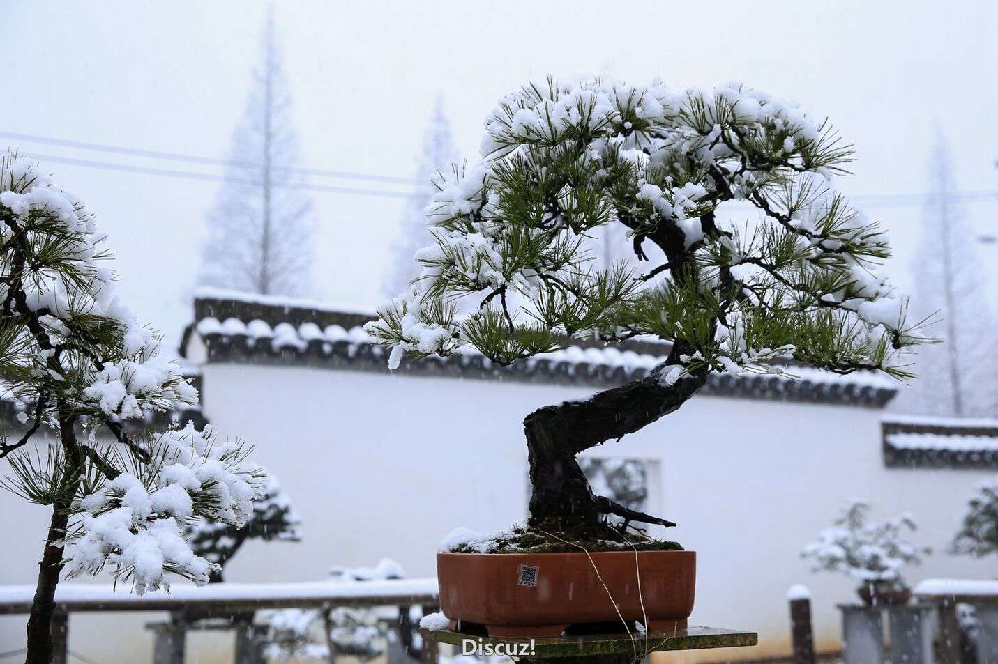 QQͼƬ20160122194221.jpg