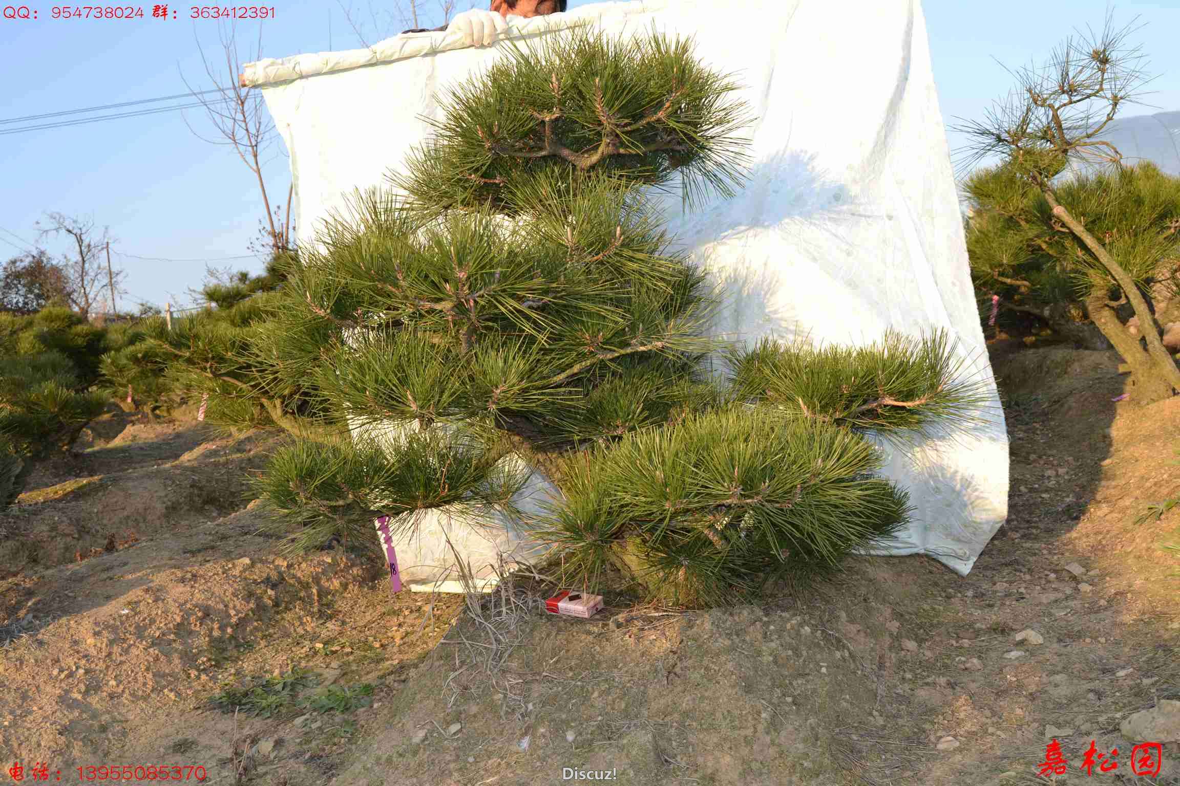 ��ŵĺ��� 046.JPG