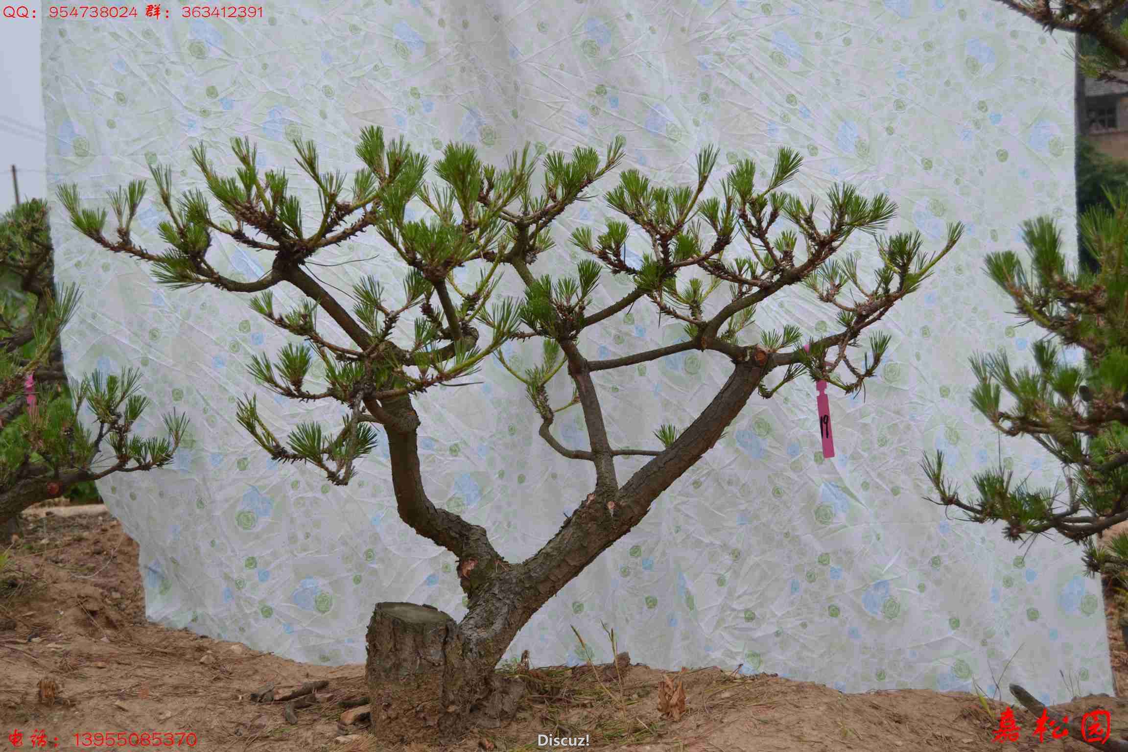  020.JPG
