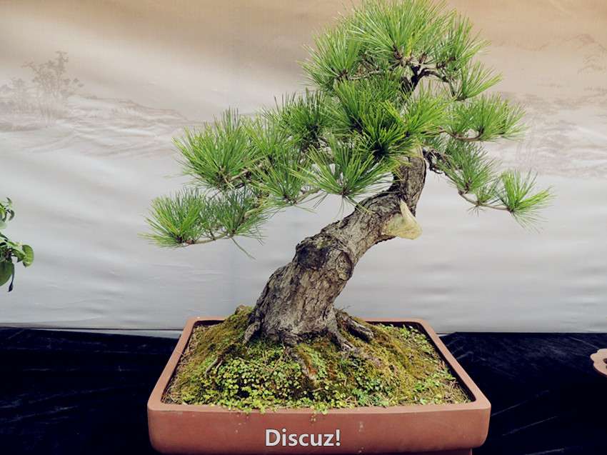 DSCN6945_.jpg