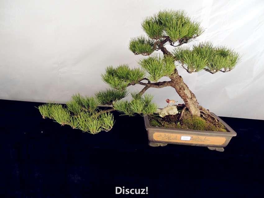 DSCN6948_.jpg