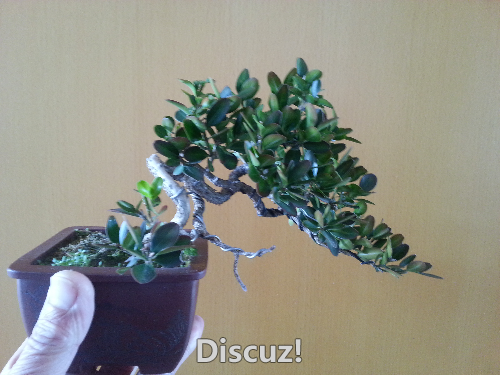20160108_100256.jpg