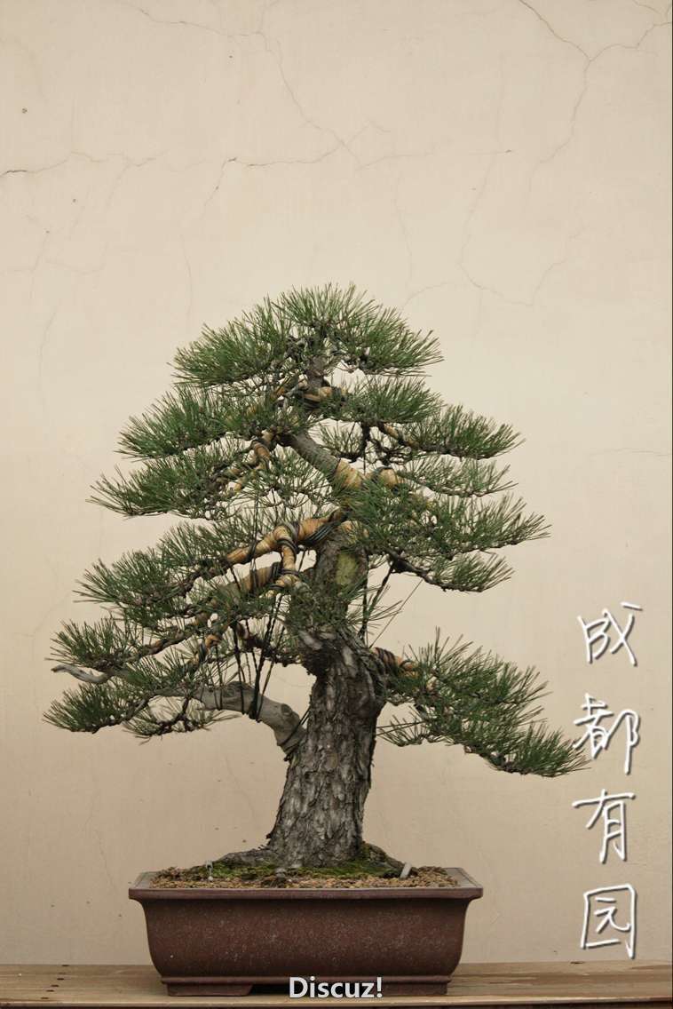 QQͼƬ20160128004107.jpg
