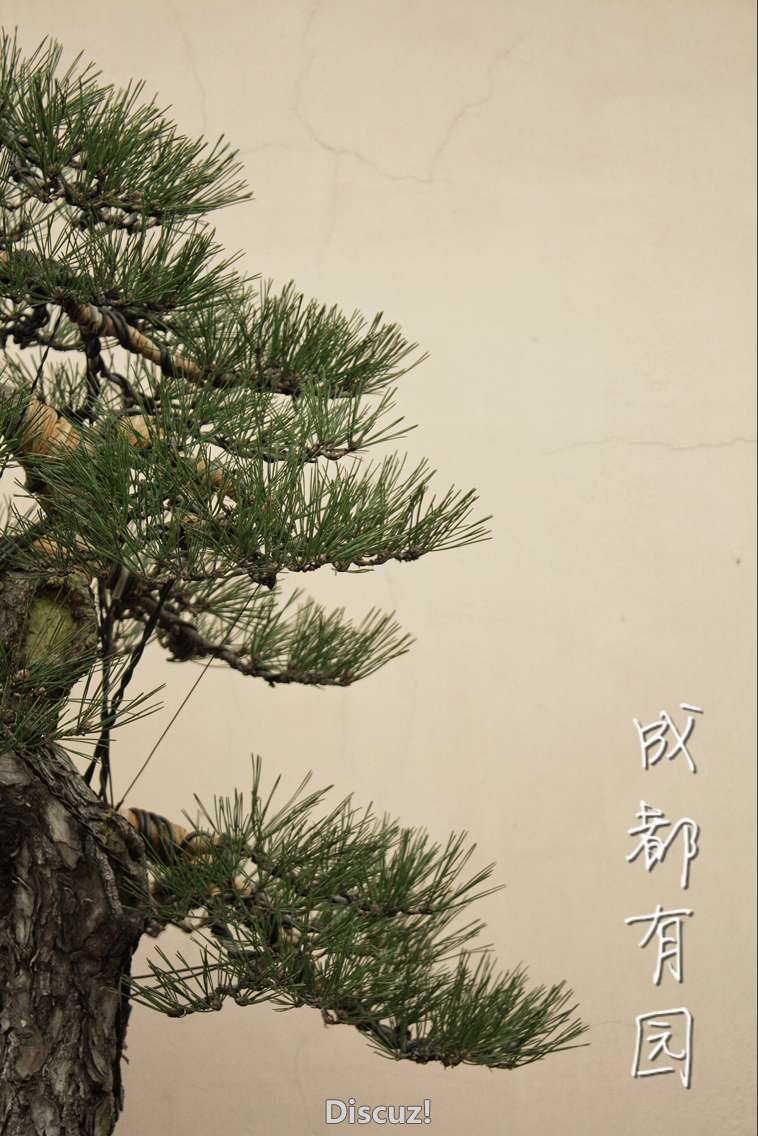 QQͼƬ20160128004122.jpg