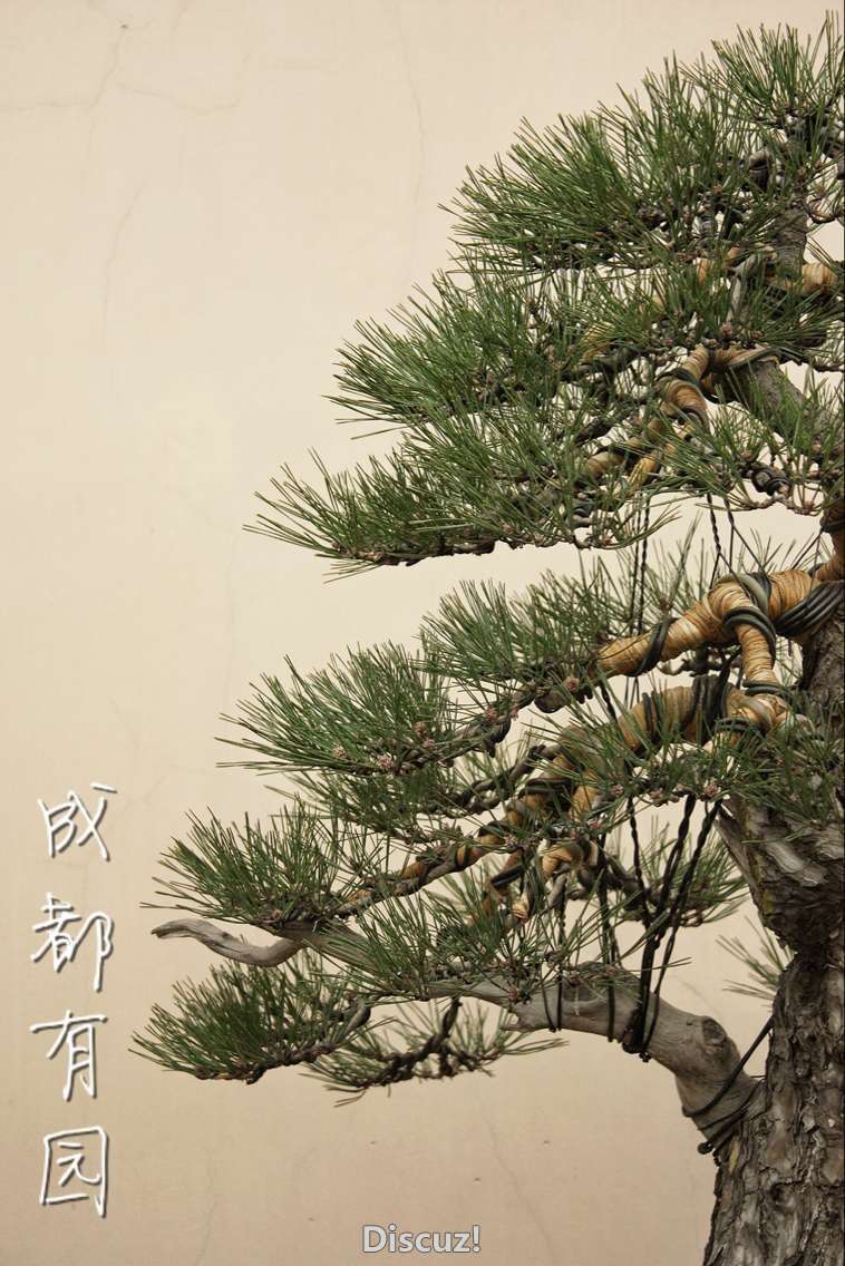 QQͼƬ20160128004132.jpg