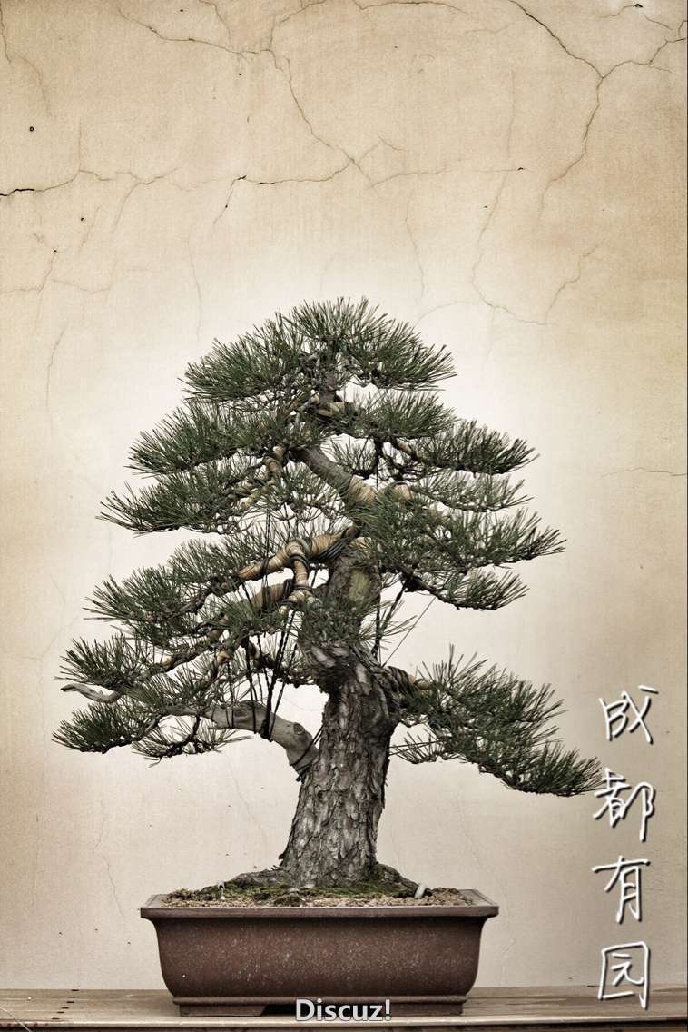 QQͼƬ20160128004015.jpg