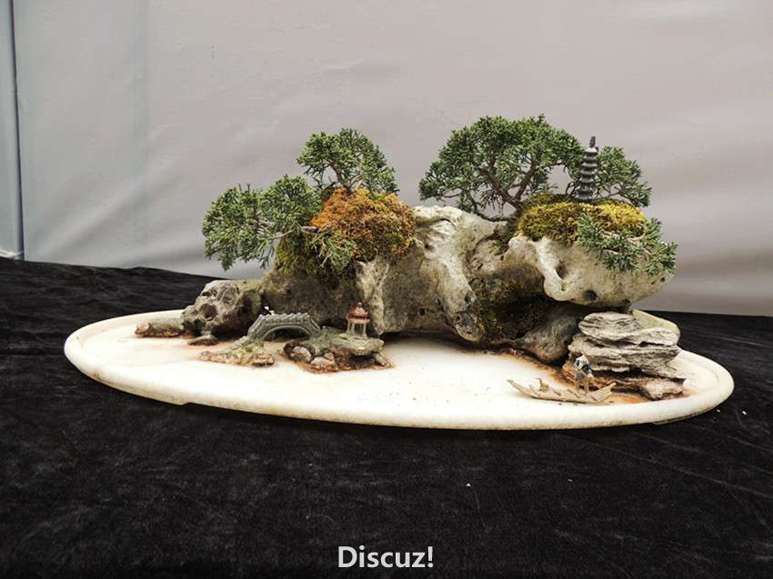 DSCN6957_.jpg