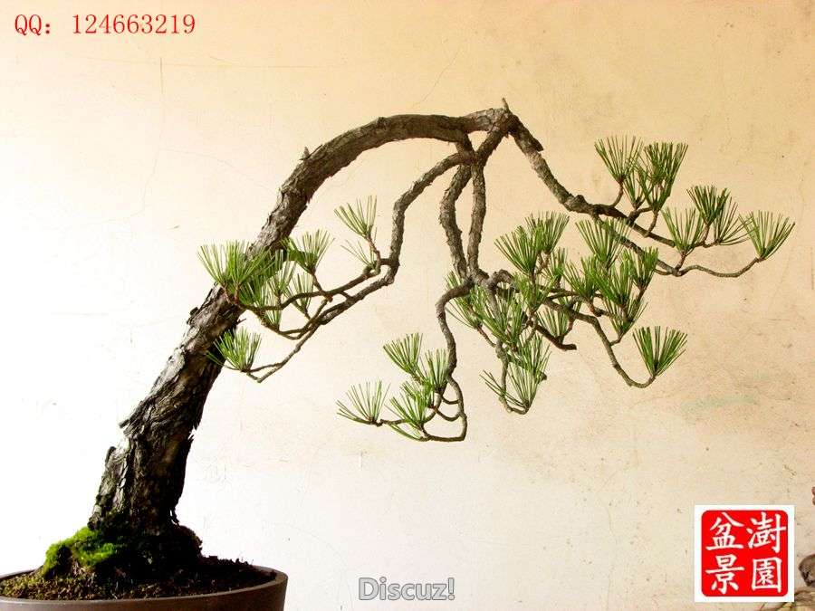 IMG_2351__.jpg