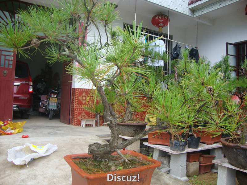 DSC04035_.jpg
