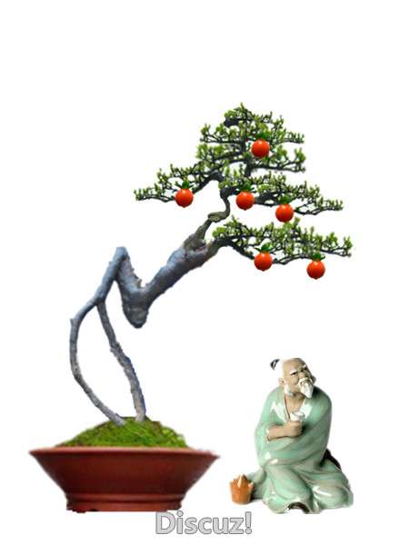 PͼЧ
