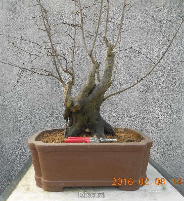 13ѻ׮2.jpg
