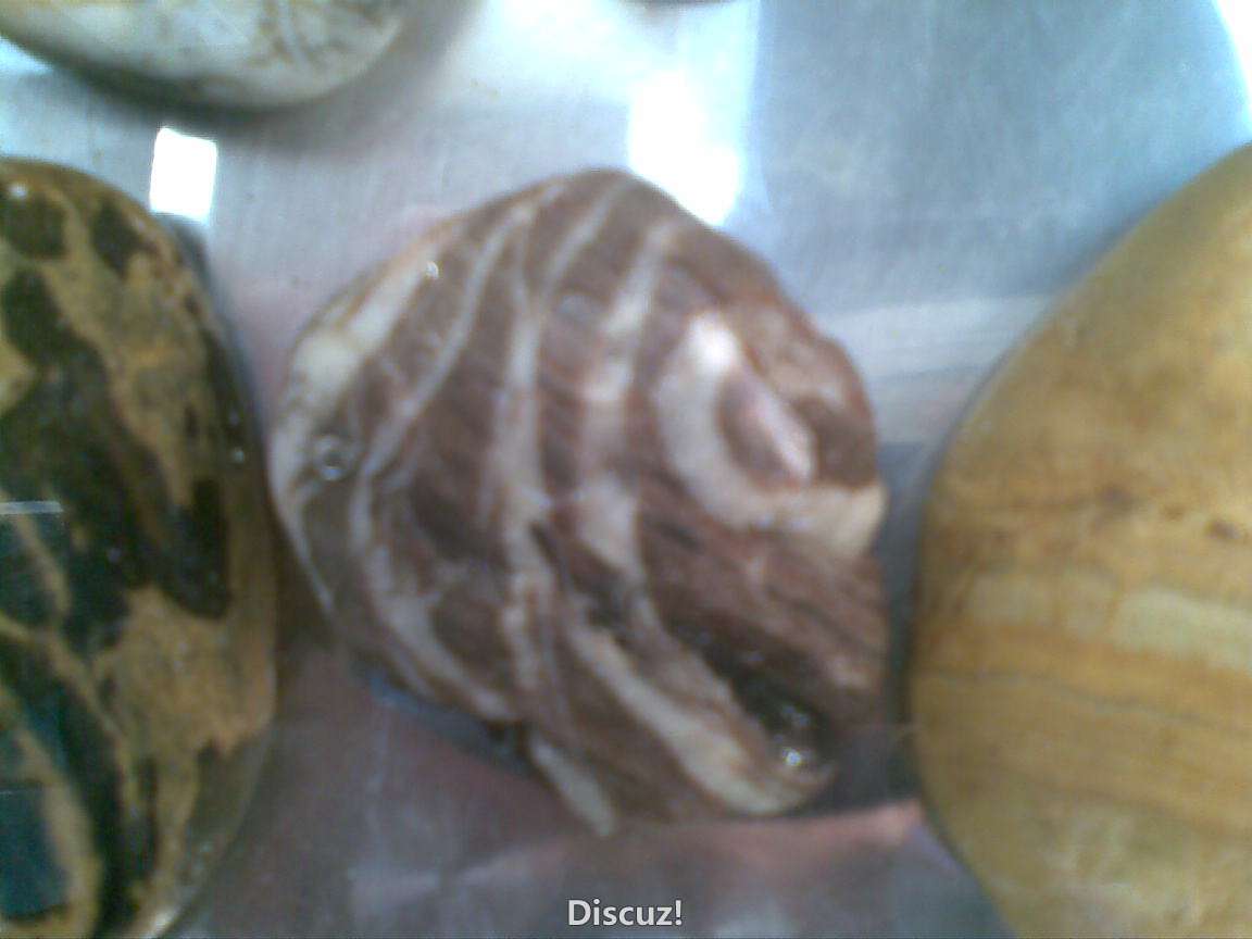20150103(009).jpg