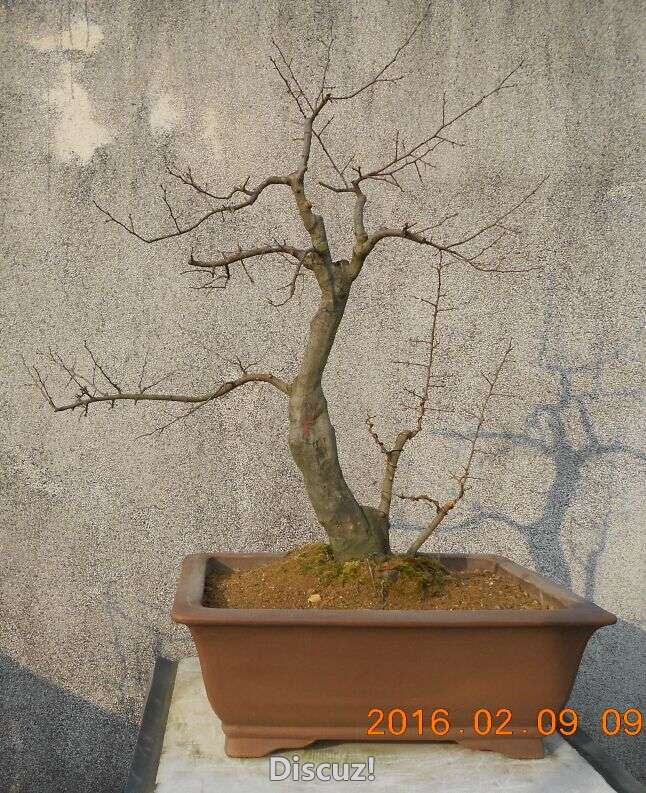 14¥ѻ׮3.jpg