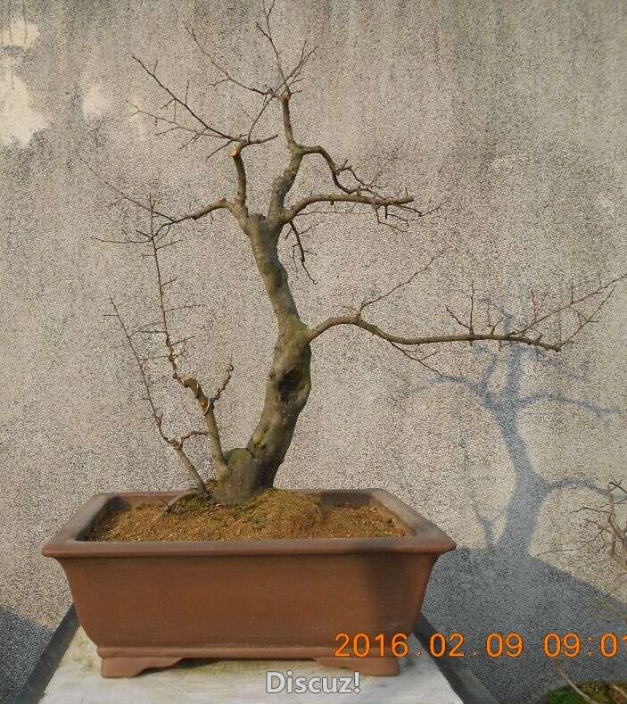14¥ѻ׮4.jpg