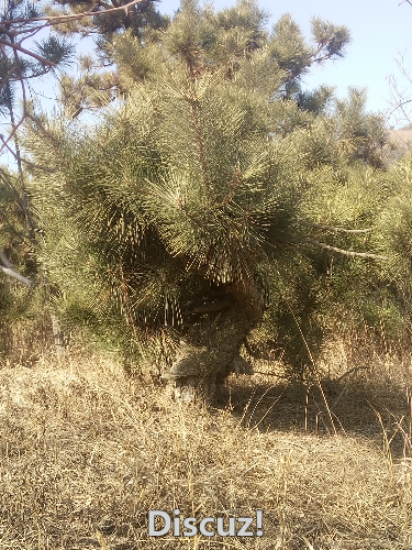 IMG20160126114848.jpg