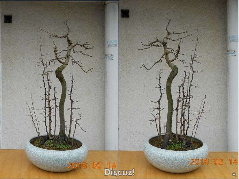 17ѻ֡5.jpg