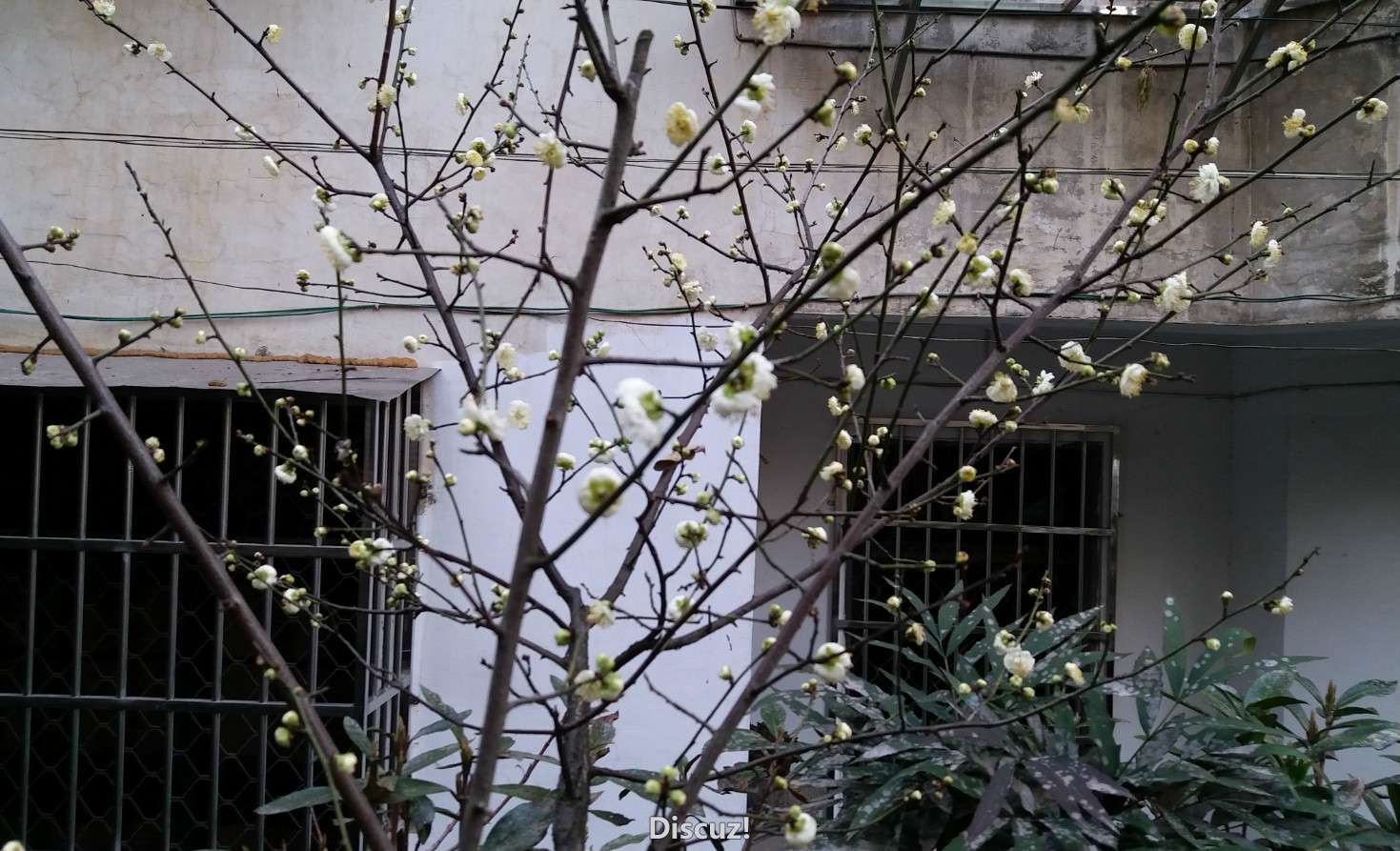 20160215_074005_meitu_1.jpg
