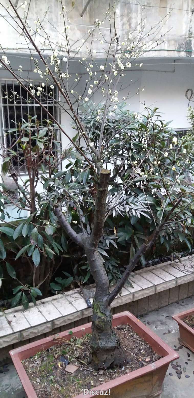 20160216_074111_meitu_3.jpg