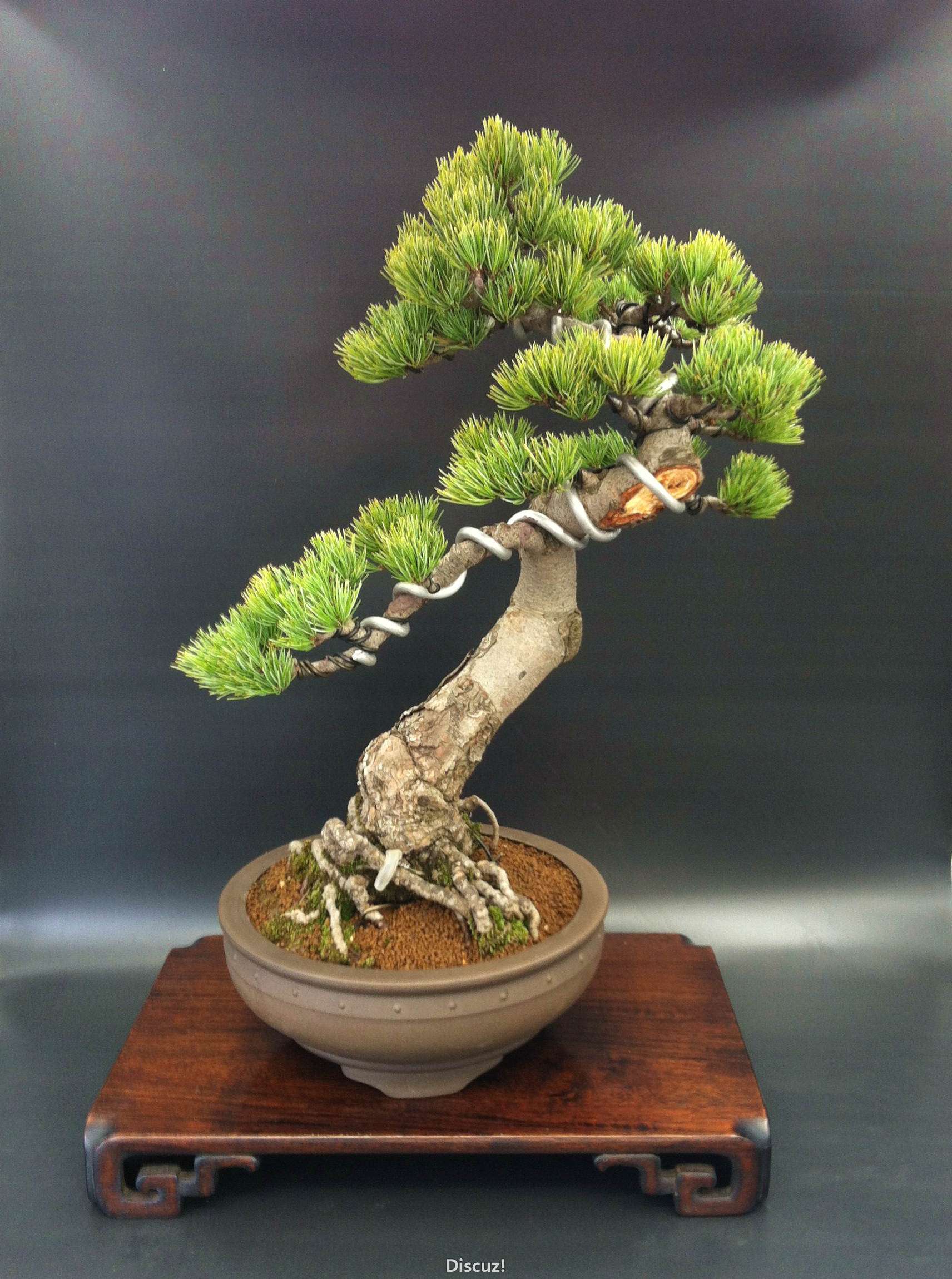 IMG_0183 (2)_����.jpg