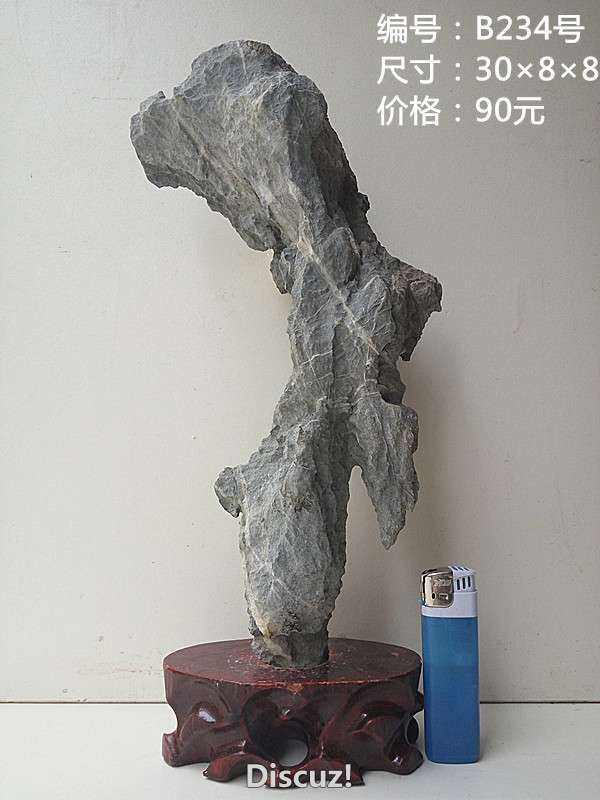 b234.jpg