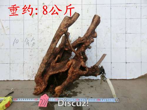 CIMG2289.JPG