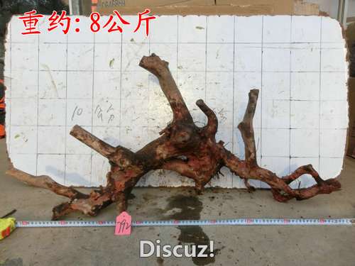 CIMG2334.JPG