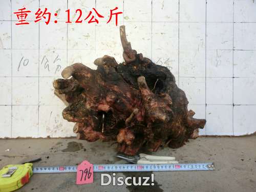 CIMG2346.JPG