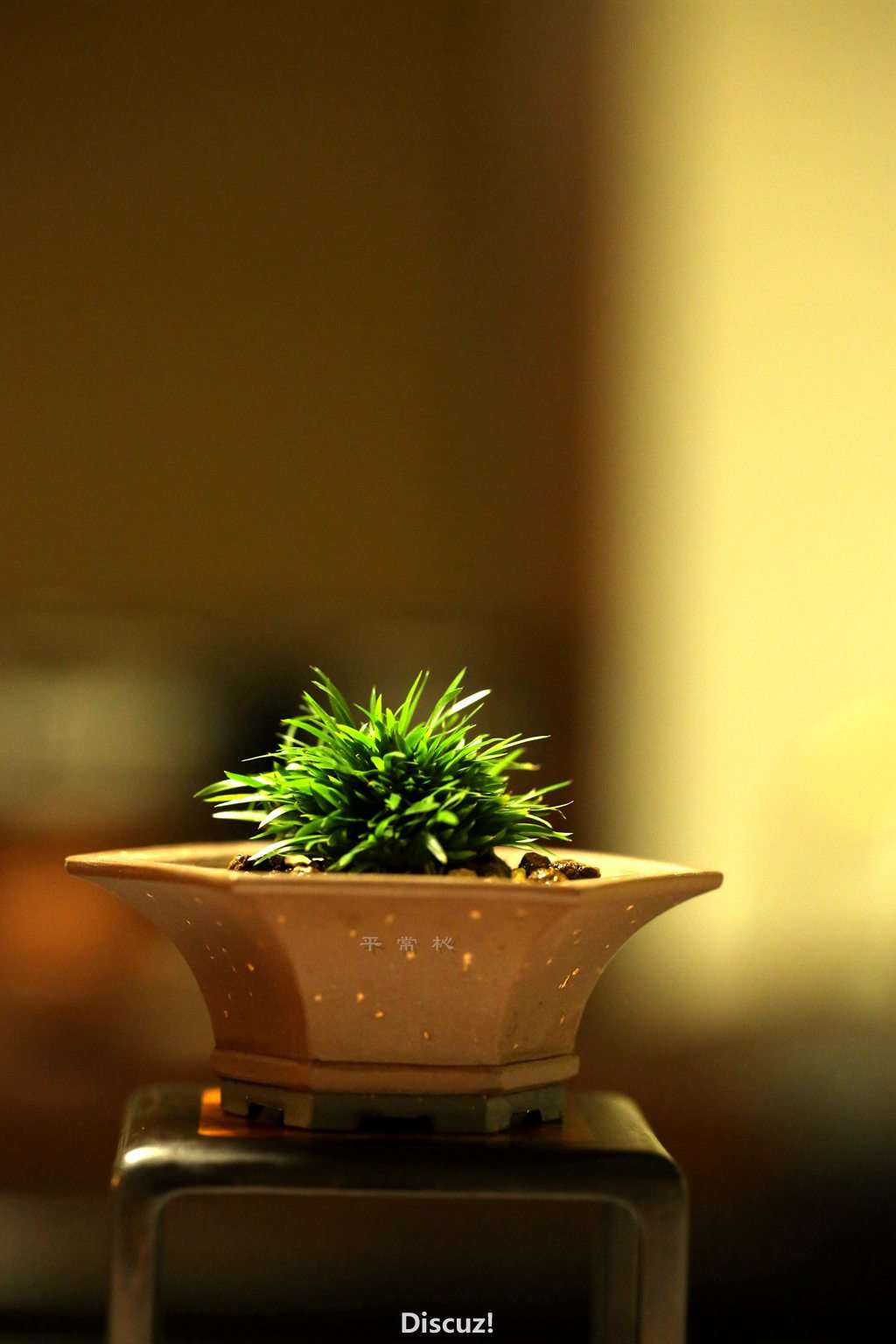 2015-08-0216.jpg