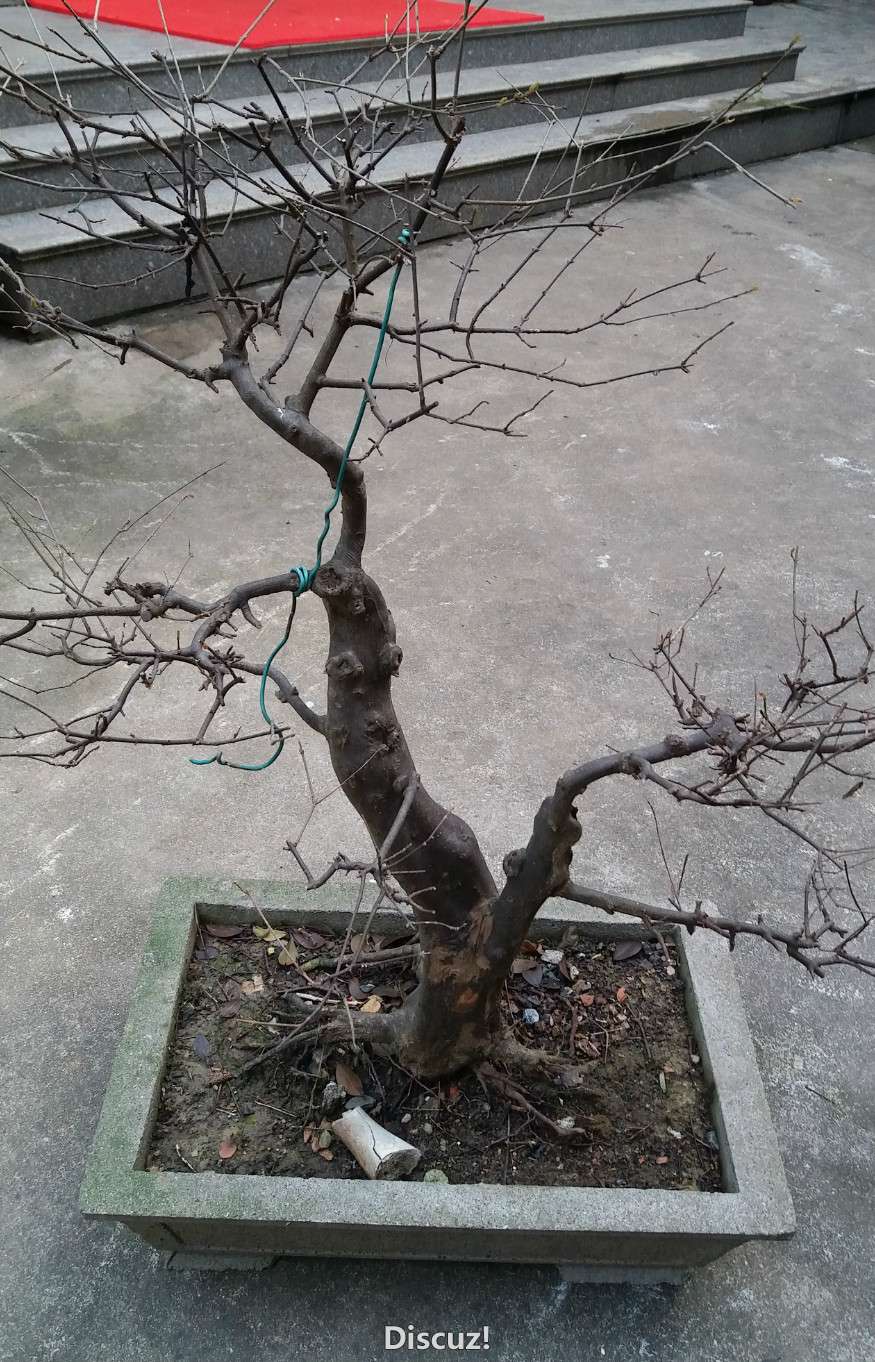 20160224_073904_meitu_2.jpg