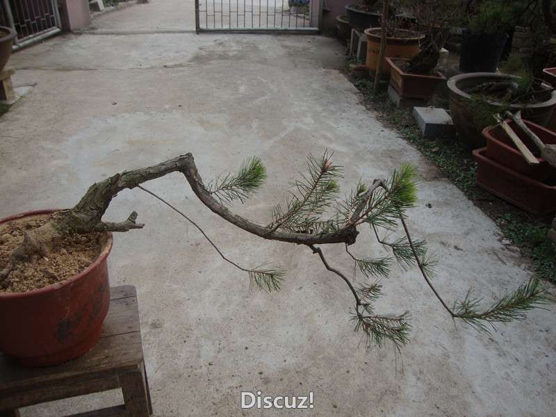 DSC04918_.jpg