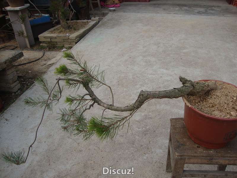 DSC04920_.jpg