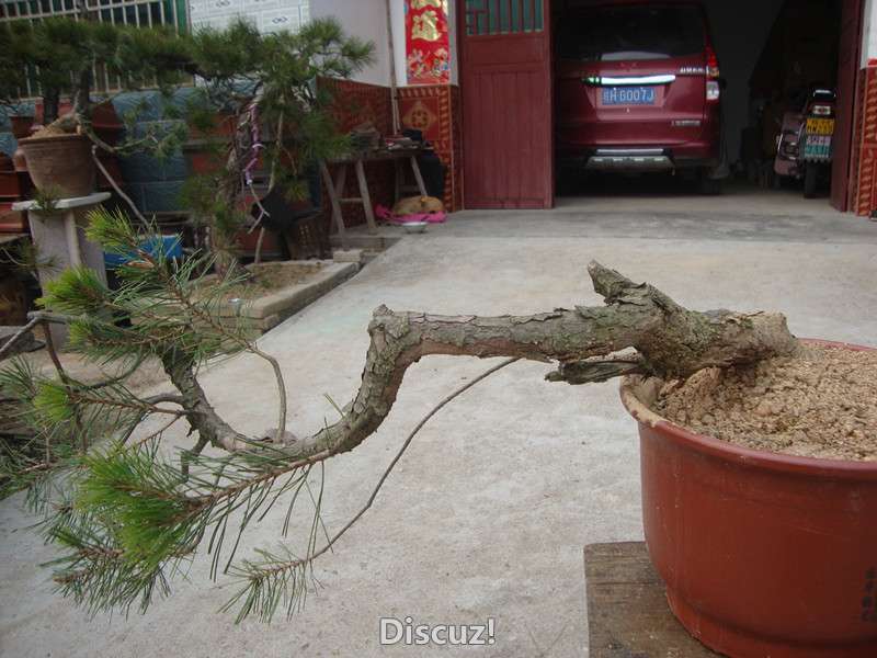 DSC04921_.jpg