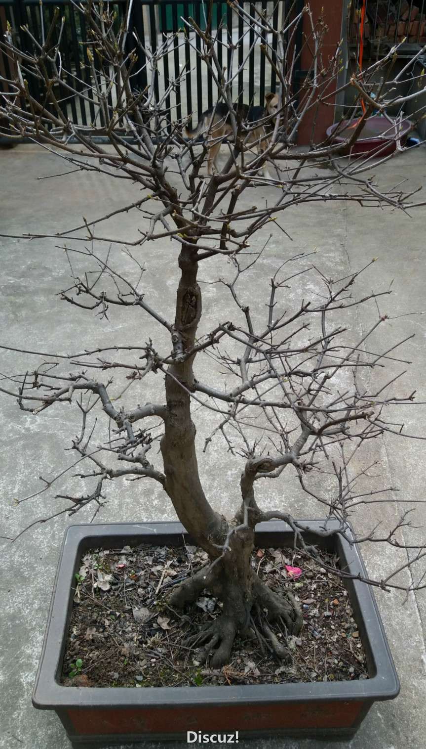 20160229_152716_meitu_1.jpg