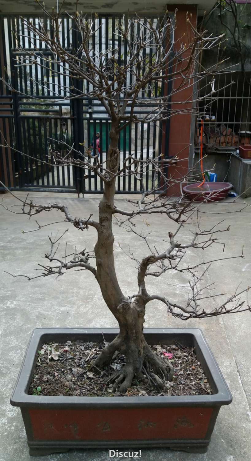 20160229_152752_meitu_3.jpg