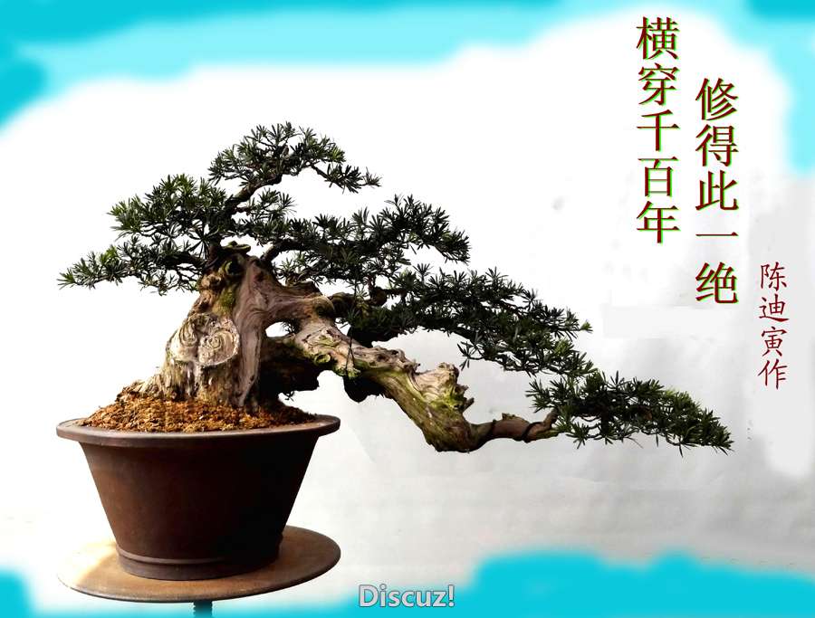 ᴩǧ޵ôһ01.jpg