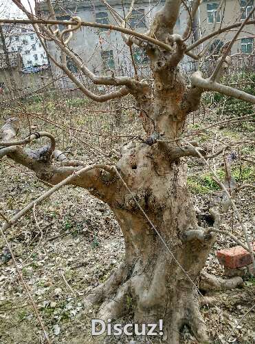 IMG_20160302_134725_HDR.jpg